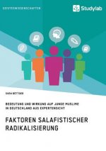 Faktoren salafistischer Radikalisierung. Bedeutung und Wirkung auf junge Muslime in Deutschland aus Expertensicht