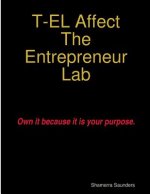 T-El Affect the Entrepreneur Lab