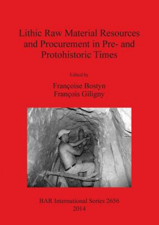 Lithic Raw Material Resources and Procurement in Pre- and Protohistoric Times