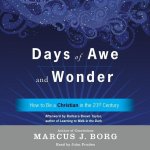 Days of Awe and Wonder: How to Be a Christian in the Twenty-First Century