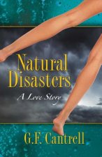 Natural Disasters: A Love Storyvolume 1