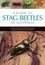 Guide to Stag Beetles of Australia
