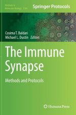 Immune Synapse