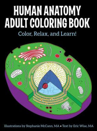 Human Anatomy Adult Coloring Book