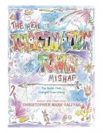 Real Imagination Town Mishap