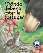 WHERE SHOULD TURTLE BE