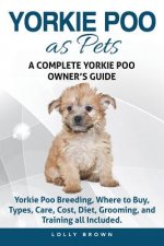 YORKIE POO AS PETS
