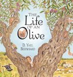 LIFE OF AN OLIVE