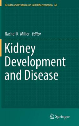 Kidney Development and Disease