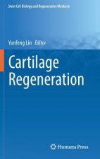 Cartilage Regeneration