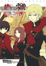 Final Fantasy - Type-0, Der Krieger mit dem Eisschwert. Bd.1