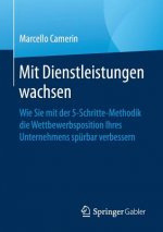 Mit Dienstleistungen Wachsen