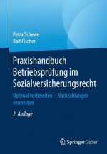 Praxishandbuch Betriebspr fung Im Sozialversicherungsrecht