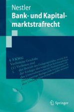 Bank- Und Kapitalmarktstrafrecht