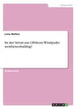 Ist der Strom aus Offshore-Windparks wettbewerbsfähig?