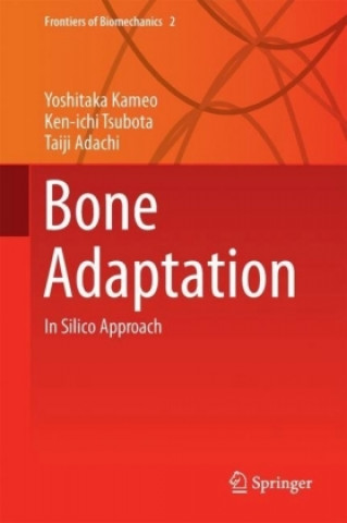 Bone Adaptation