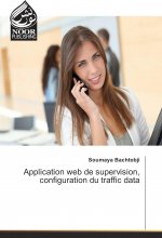Application web de supervision, configuration du traffic data