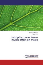 Jatropha curcas leaves mulch effect on maize