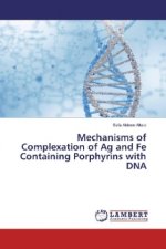 Mechanisms of Complexation of Ag and Fe Containing Porphyrins with DNA