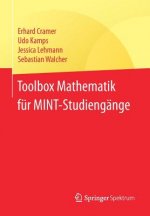 Toolbox Mathematik Fur Mint-Studiengange