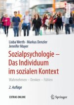 Sozialpsychologie - Das Individuum im sozialen Kontext