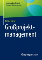 Grossprojektmanagement