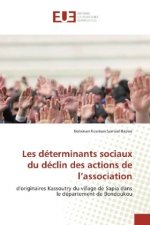 Les déterminants sociaux du déclin des actions de l'association