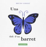 UNA PAPALLONA DALT D`UN BARRET