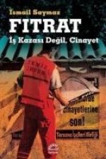Fitrat Is Kazasi Degil Cinayet