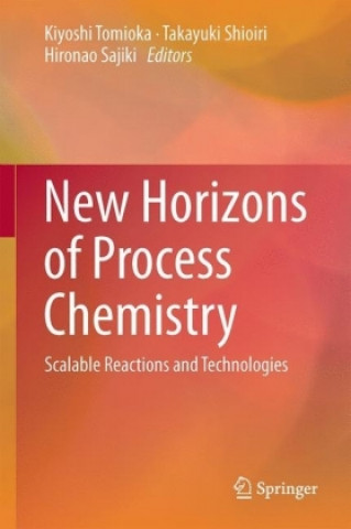 New Horizons of Process Chemistry