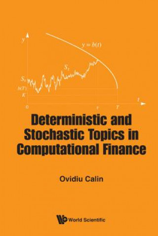 Deterministic And Stochastic Topics In Computational Finance