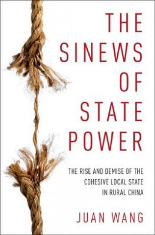 Sinews of State Power