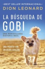 busqueda de Gobi