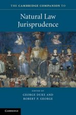 Cambridge Companion to Natural Law Jurisprudence