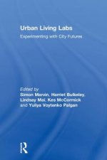 Urban Living Labs