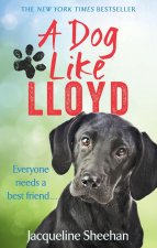 Dog Like Lloyd