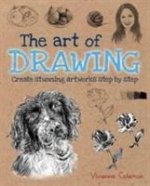 Art of Drawing