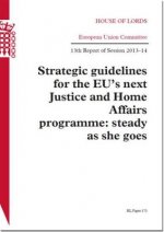 Strategic Guidelines for the Eu's Next Justice and Home Affairs Programme: Steady as She Goes: House of Lords Paper 173 Session 2013-14