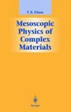 MESOSCOPIC PHYSICS OF COMPLEX