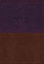 KJV, Know The Word Study Bible, Leathersoft, Burgundy, Thumb Indexed, Red Letter Edition