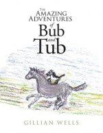 Amazing Adventures of Bub and Tub