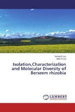 Isolation,Characterization and Molecular Diversity of Berseem rhizobia
