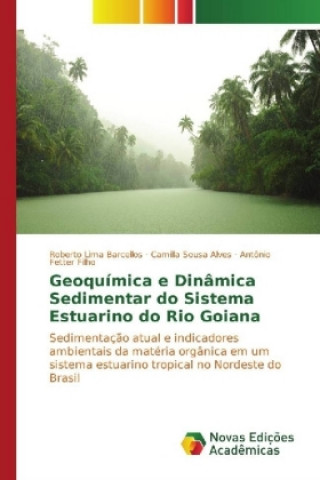 Geoquímica e Dinâmica Sedimentar do Sistema Estuarino do Rio Goiana
