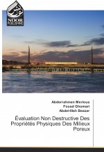 Évaluation Non Destructive Des Propriétés Physiques Des Milieux Poreux