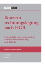 Konzernrechnungslegung nach HGB 2e - Systematische und praxisorie Konzernabschlussers tellung nach BilRUG