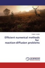 Efficient numerical methods for reaction-diffusion problems