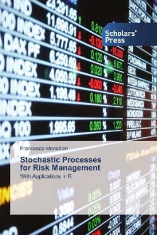 Stochastic Processes for Risk Management
