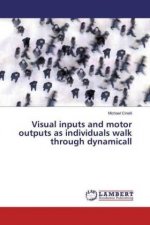 Visual inputs and motor outputs as individuals walk through dynamicall