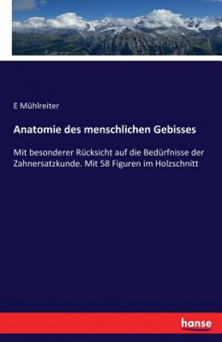 Anatomie des menschlichen Gebisses