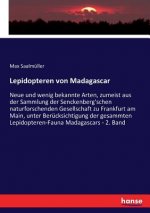 Lepidopteren von Madagascar